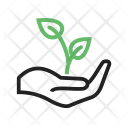 پیش‌نمایش فایل plantation-2 از پک Gardening 