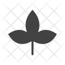 پیش‌نمایش فایل autumn-leaf-4 از پک Gardening 