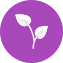 پیش‌نمایش فایل growing-plant-6 از پک Gardening 