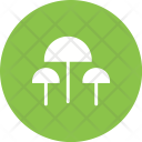پیش‌نمایش فایل mushrooms-27 از پک Gardening 
