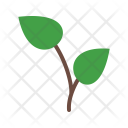 پیش‌نمایش فایل growing-plant-7 از پک Gardening 