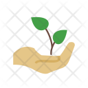 پیش‌نمایش فایل plantation-6 از پک Gardening 