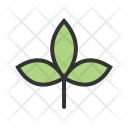 پیش‌نمایش فایل autumn-leaf-9 از پک باغبانی