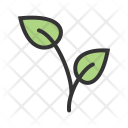پیش‌نمایش فایل growing-plant-9 از پک باغبانی