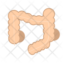 پیش‌نمایش فایل intestines-18 از پک مراقبت‌های بهداشتی