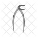 پیش‌نمایش فایل dentist-tool-20 از پک مراقبت‌های بهداشتی