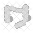 پیش‌نمایش فایل intestines-19 از پک مراقبت‌های بهداشتی