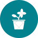 پیش‌نمایش فایل flower-pot-45 از پک اشیاء