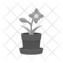 پیش‌نمایش فایل flower-pot-47 از پک اشیاء