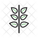 پیش‌نمایش فایل plant-448 از پک اکولوژی