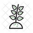 پیش‌نمایش فایل plant-449 از پک اکولوژی