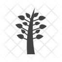 پیش‌نمایش فایل leaves-101 از پک اکولوژی