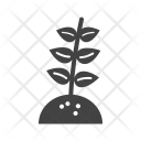 پیش‌نمایش فایل leaves-99 از پک اکولوژی