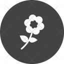 پیش‌نمایش فایل flower-1166 از پک Ecology 