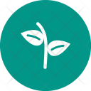 پیش‌نمایش فایل leaves-104 از پک Ecology 