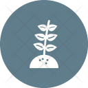 پیش‌نمایش فایل leaves-105 از پک Ecology 