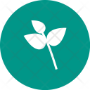 پیش‌نمایش فایل leaves-106 از پک Ecology 