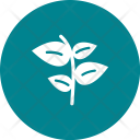 پیش‌نمایش فایل plant-455 از پک Ecology 