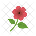 پیش‌نمایش فایل flower-1167 از پک Ecology 