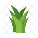 پیش‌نمایش فایل grass-68 از پک Ecology 