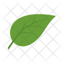 پیش‌نمایش فایل leaf-434 از پک Ecology 