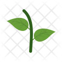 پیش‌نمایش فایل leaves-107 از پک Ecology 