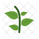 پیش‌نمایش فایل leaves-108 از پک Ecology 