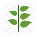 پیش‌نمایش فایل leaves-109 از پک Ecology 