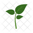 پیش‌نمایش فایل leaves-111 از پک Ecology 