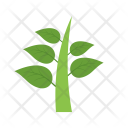 پیش‌نمایش فایل plant-457 از پک Ecology 