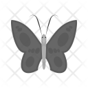 پیش‌نمایش فایل butterfly-382 از پک Ecology 