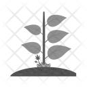 پیش‌نمایش فایل leaves-113 از پک Ecology 