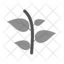 پیش‌نمایش فایل plant-458 از پک Ecology 