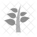 پیش‌نمایش فایل plant-460 از پک Ecology 