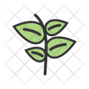 پیش‌نمایش فایل plant-461 از پک Ecology 