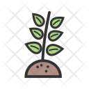 پیش‌نمایش فایل plant-462 از پک Ecology 