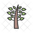 پیش‌نمایش فایل plant-463 از پک Ecology 