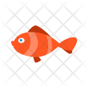 پیش‌نمایش فایل fish-598 از پک نوزاد