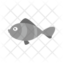 پیش‌نمایش فایل fish-600 از پک Baby 