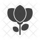 پیش‌نمایش فایل flower-1228 از پک عکاسی