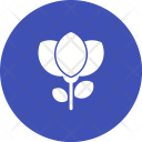 پیش‌نمایش فایل flower-1230 از پک عکاسی
