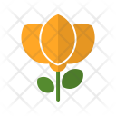 پیش‌نمایش فایل flower-1231 از پک عکاسی