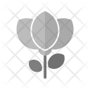پیش‌نمایش فایل flower-1232 از پک عکاسی