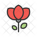 پیش‌نمایش فایل flower-1233 از پک عکاسی
