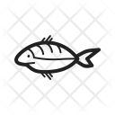 پیش‌نمایش فایل shark-64 از پک Sea 