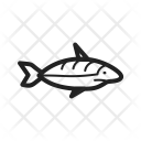 پیش‌نمایش فایل shark-65 از پک Sea 