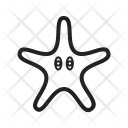 پیش‌نمایش فایل starfish-73 از پک Sea 