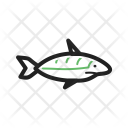 پیش‌نمایش فایل shark-67 از پک Sea 