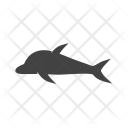 پیش‌نمایش فایل dolphin-96 از پک دریا