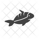 پیش‌نمایش فایل shark-69 از پک دریا
